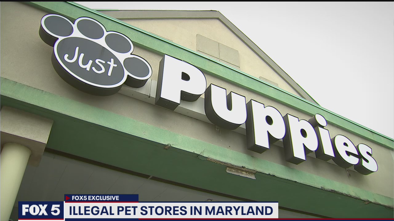 Illegal pet stores in Maryland