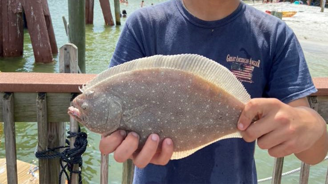 As water cools, flounder action is heating up