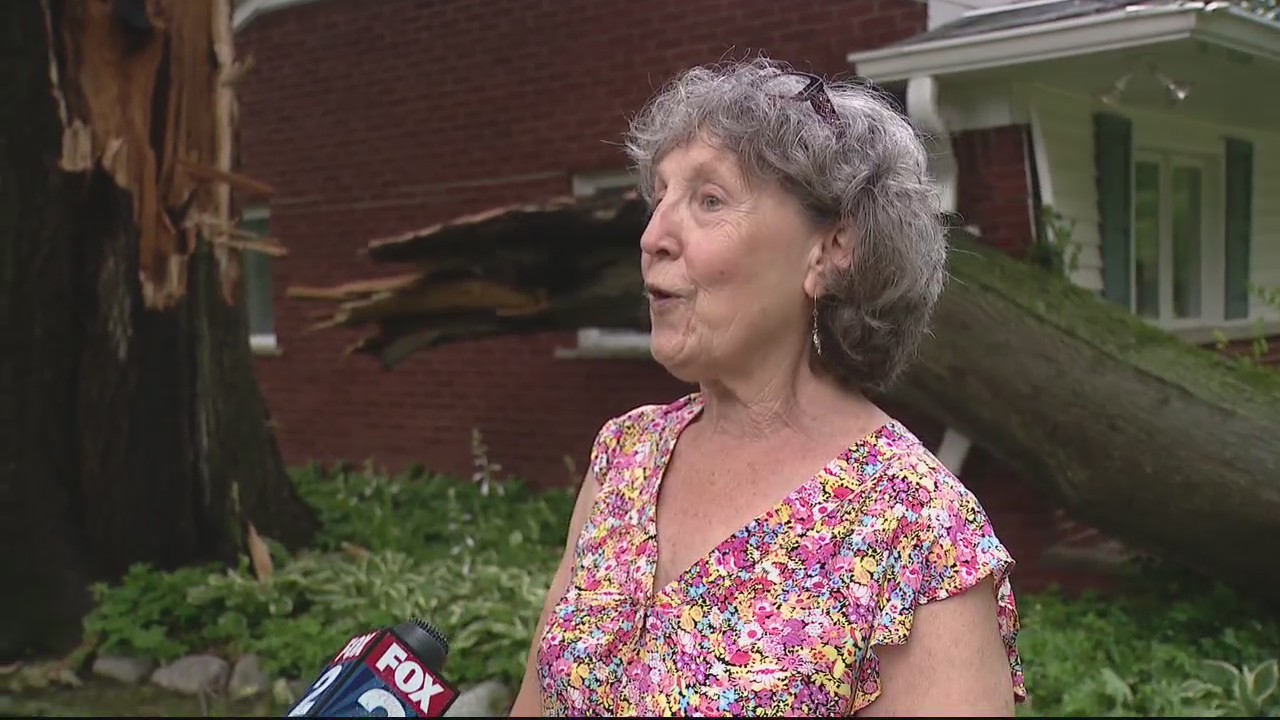 Storm damage impacts Farmington area