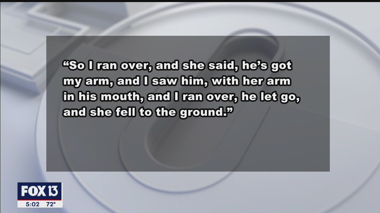Witness describes big cat attacking volunteer