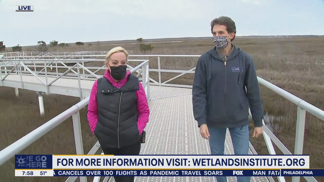 Wetlands Institute offers day trips for families