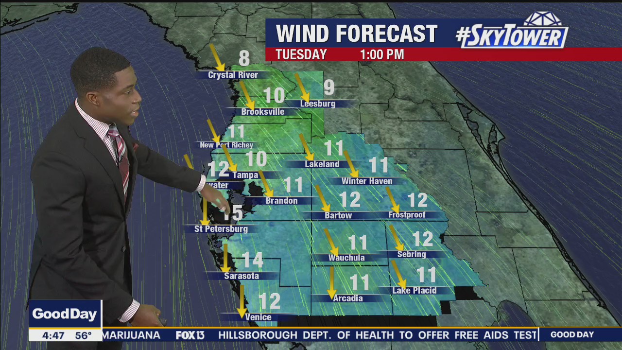 Tuesday morning forecast