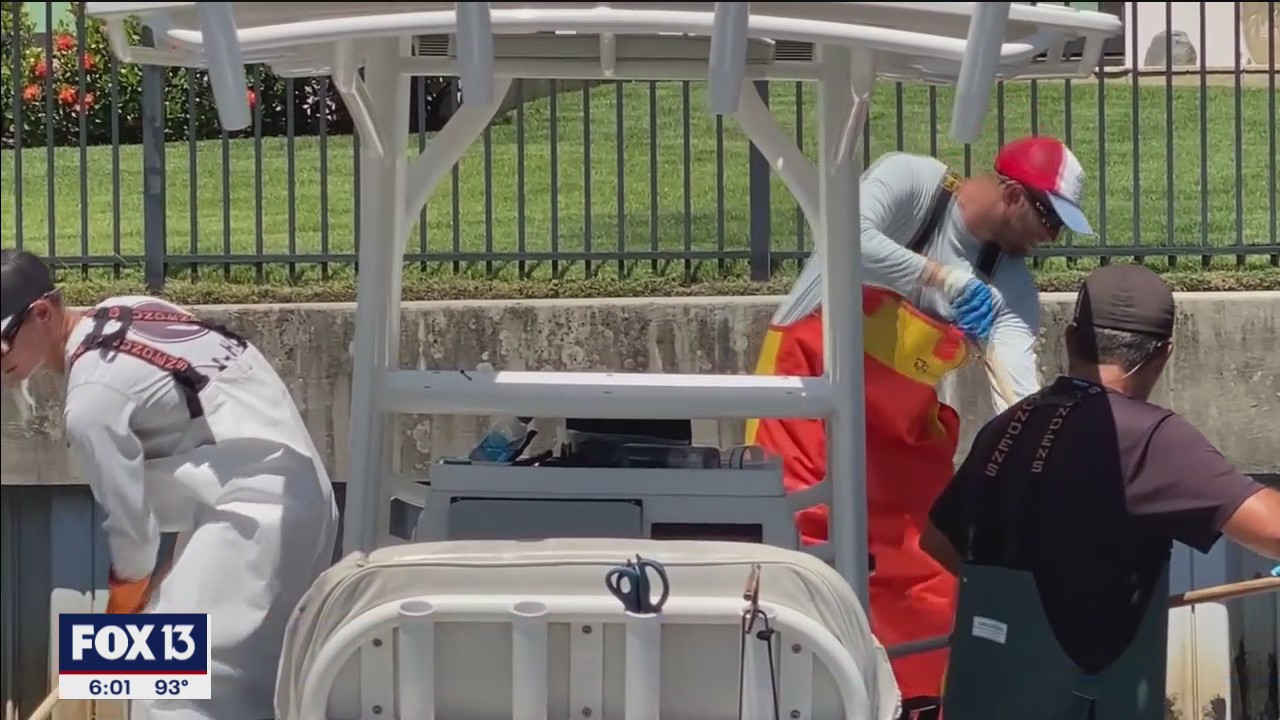 Charter captains hired for dead fish removal