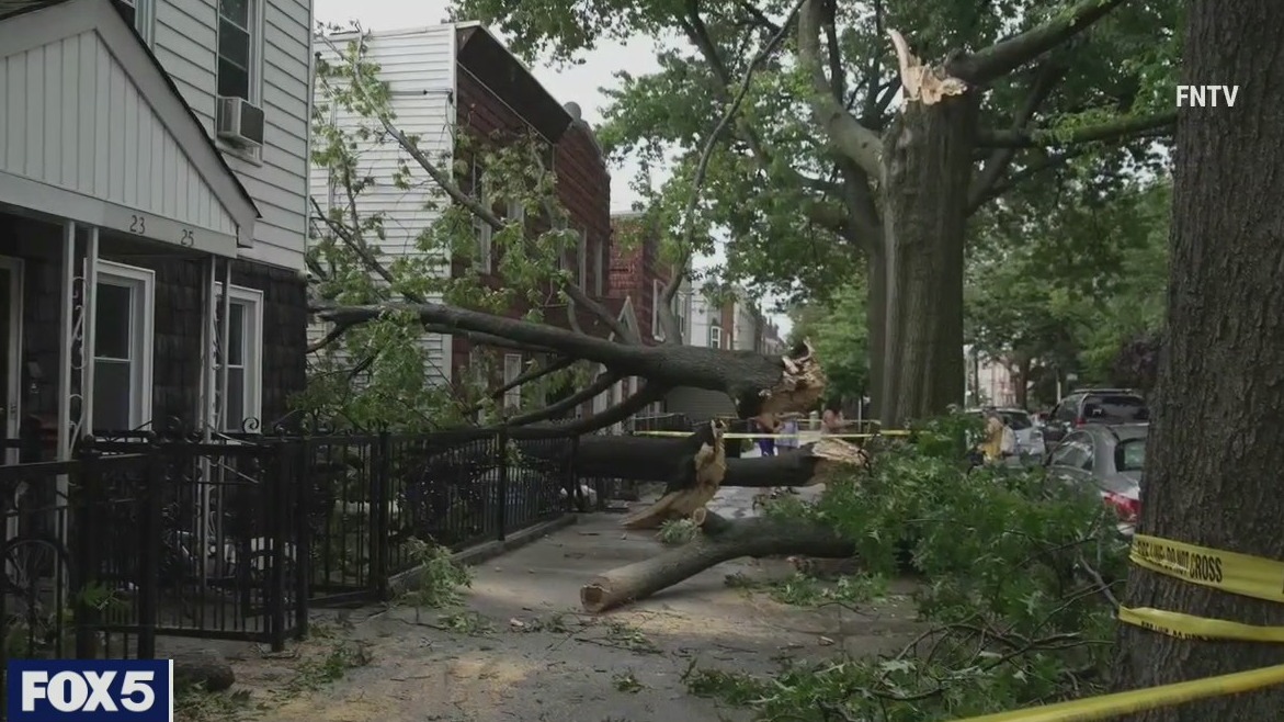 Storm knocks trees down in Queens
