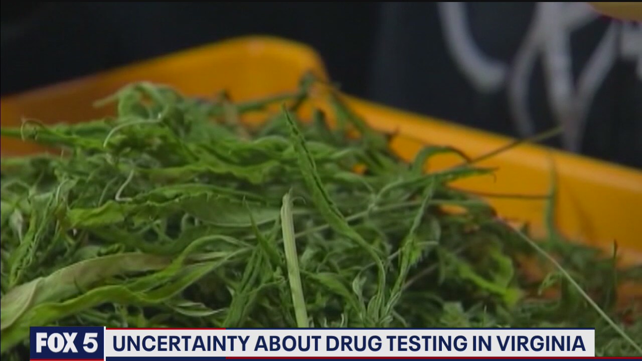 Marijuana legalization in Virginia creating challenges for employers