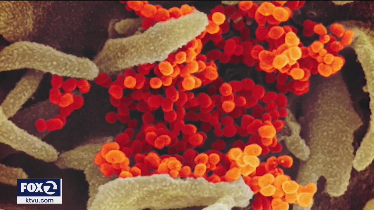 Restrictions tighten as states struggle to stop coronavirus surge