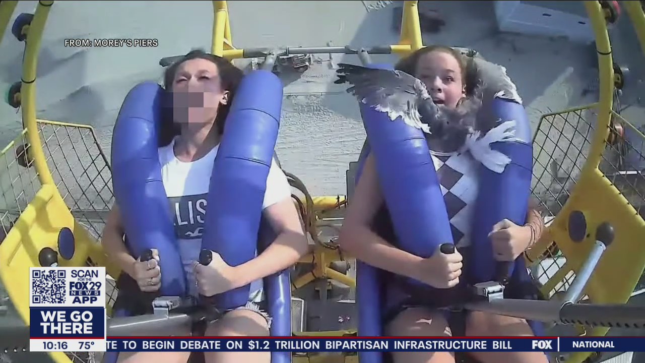 Teen smacked in face by seagull on amusement park ride in Wildwood