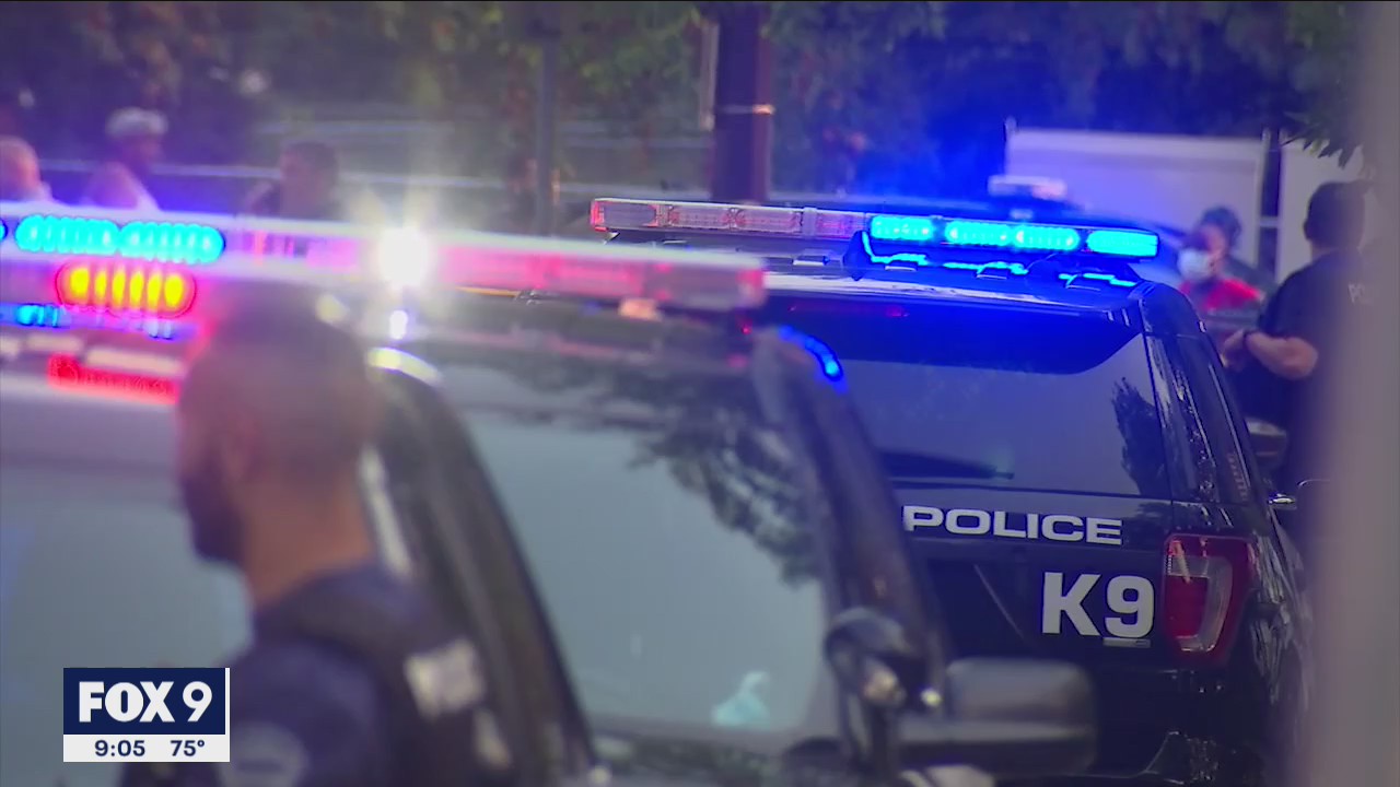 2 teens in custody after carjacking, crash in Minneapolis
