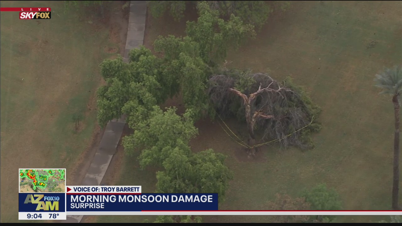 Monsoon storms cause damage across the Valley