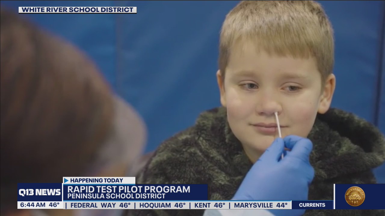 Rapid Covid test pilot program