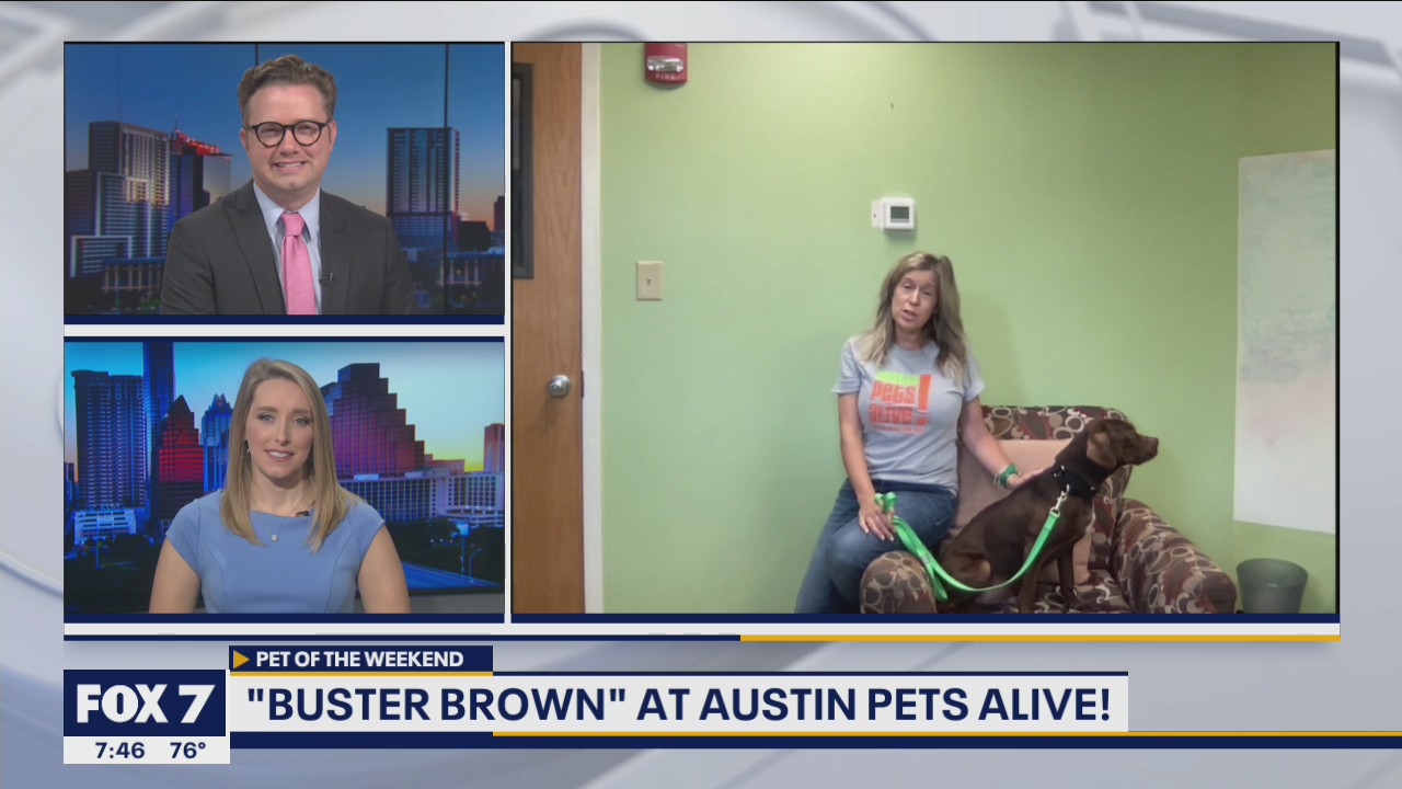 Pet of the Weekend: Buster Brown