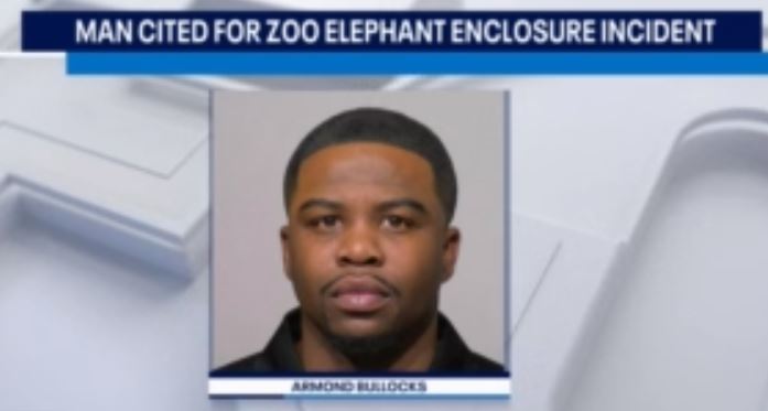 Man cited after jumping into MKE zoo's elephant exhibit