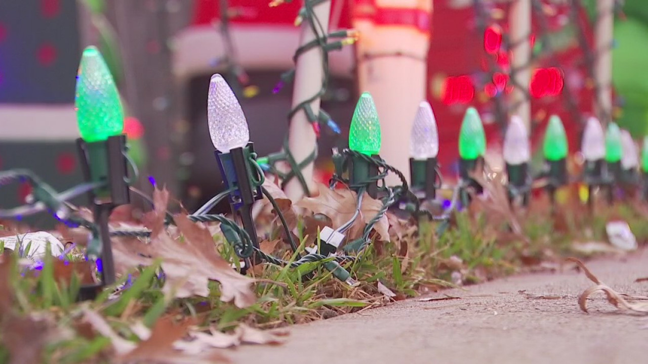 Round Rock man uses Christmas decorations to raise money for dog rescue