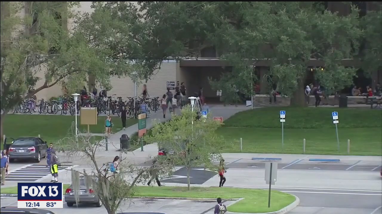 USF helping international students to stay in the country