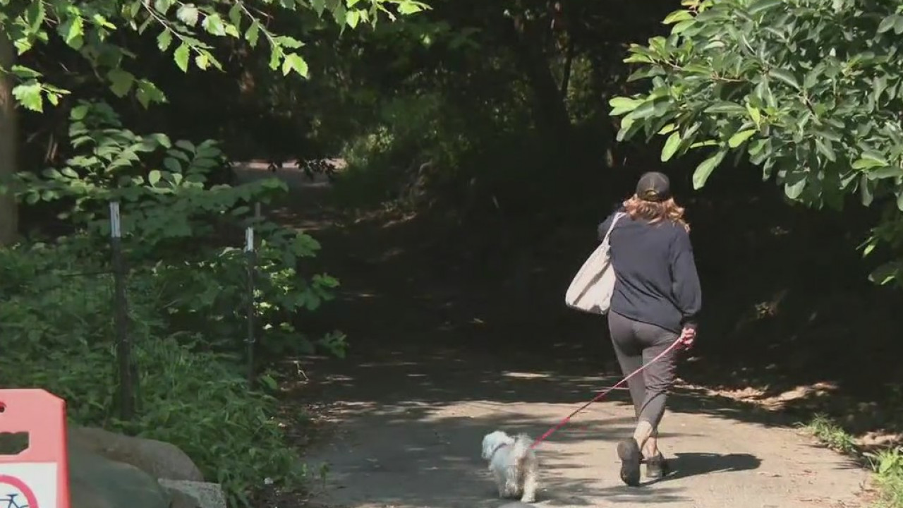 3 women attacked in Manhattan park in same day