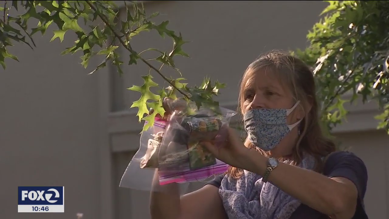 San Anselmo's free tree mask project takes root