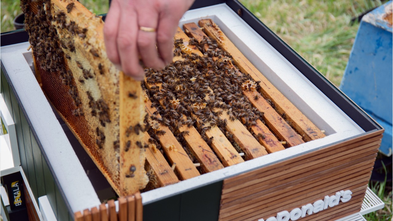 This tiny McDonald's is actually a fully functioning beehive