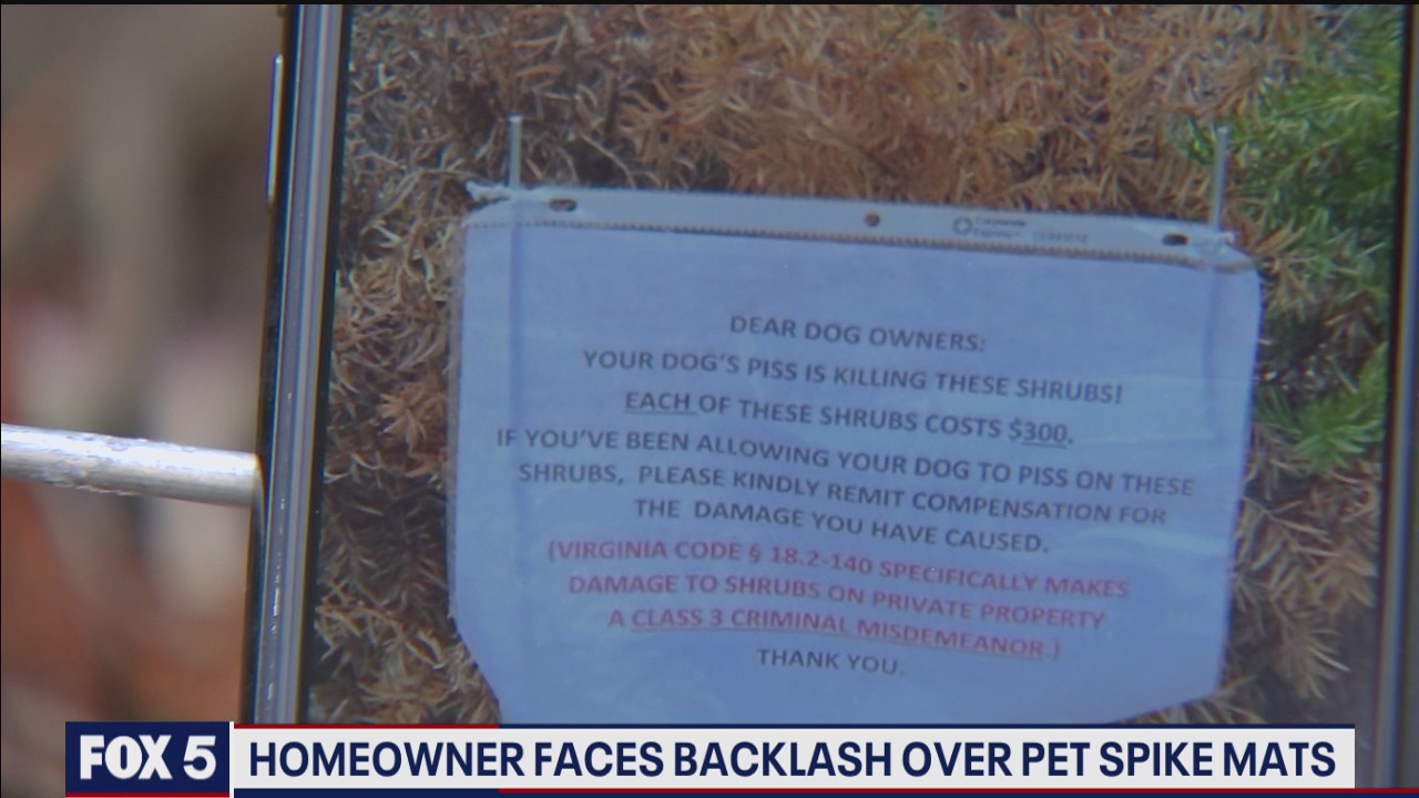 Arlington homeowner faces backlash for using 'spike mats' to keep pets out of yard