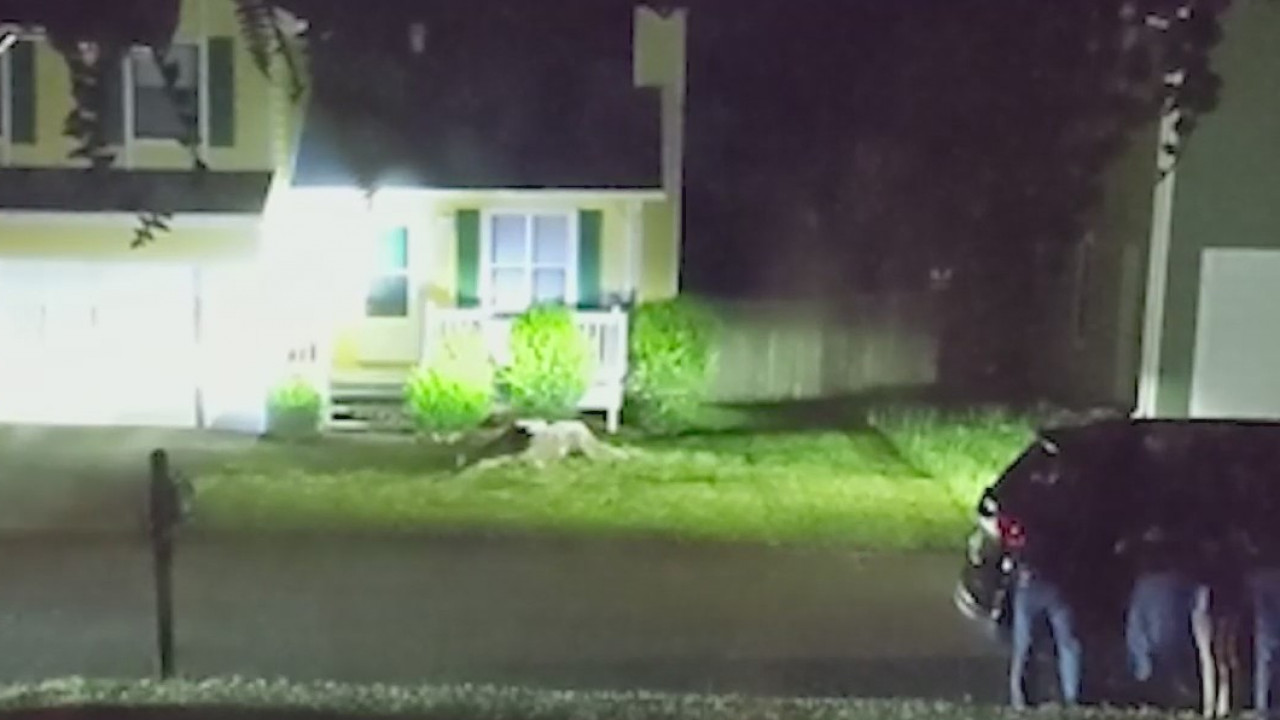 Multi-state manhunt started with Cobb County shooting