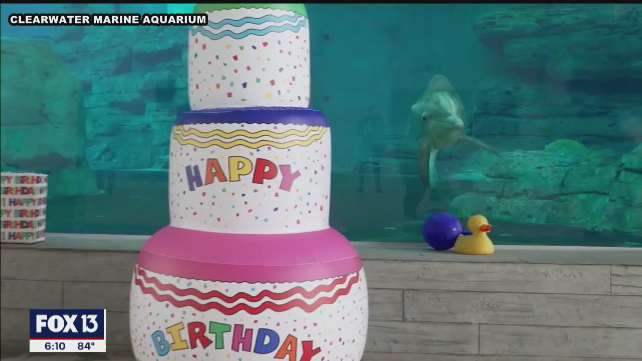 Porpoise birthday party