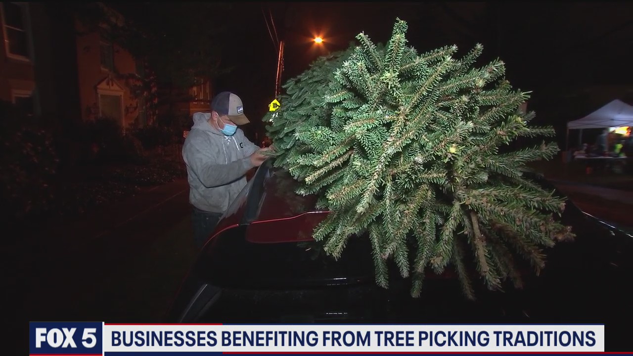 Businesses benefiting from tree picking traditions