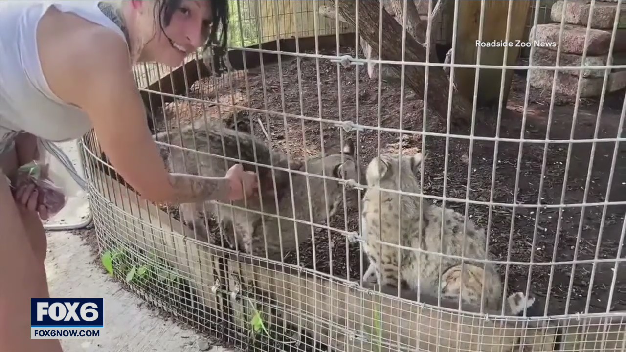 New video of woman banned from Shalom Wildlife Zoo