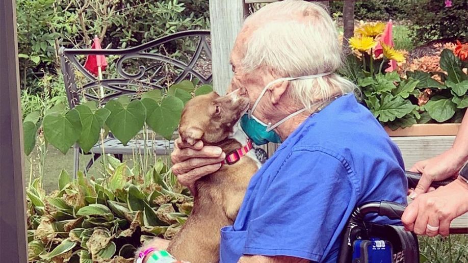 Navy veteran, 86, saved by dog after suffering stroke