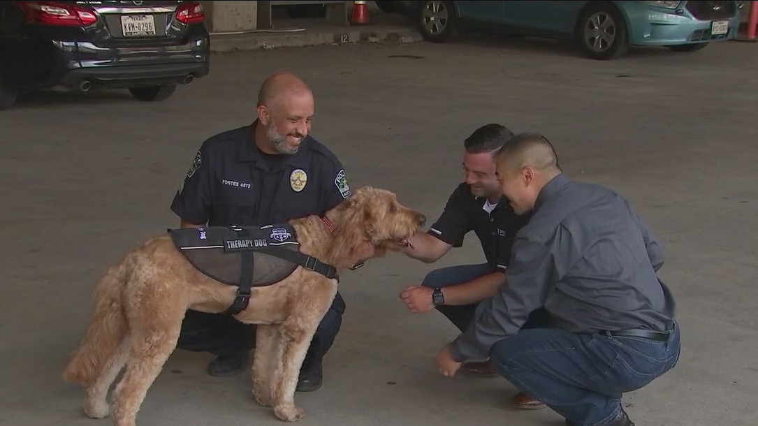 FirstNet introduces therapy dogs to support well-being of first responders