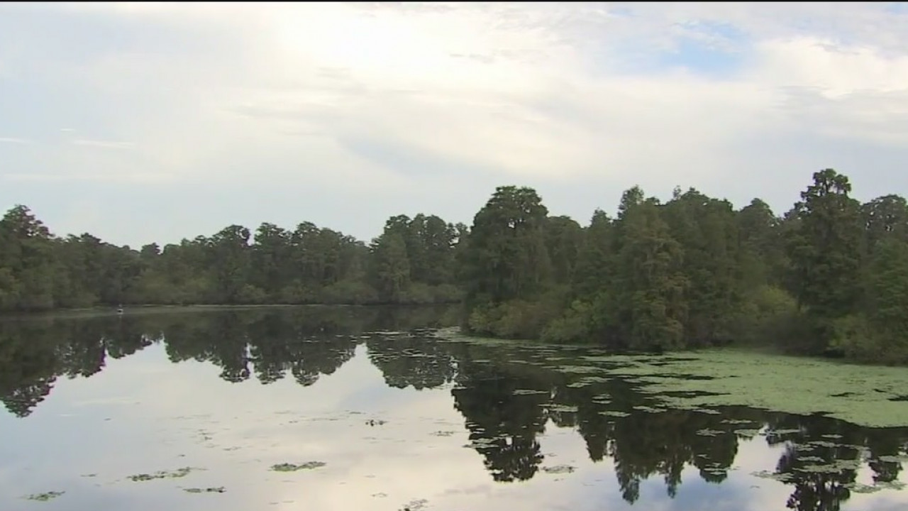 Lettuce Lake Park has 240 acres of nature to explore