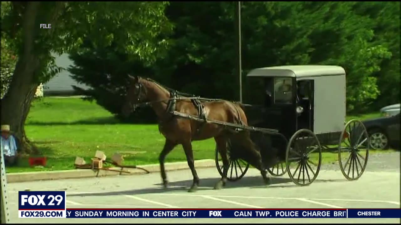 Amish community ravaged by pandemic reaches herd immunity, experts say