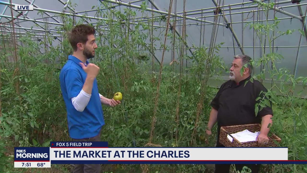 The Market at the Charles