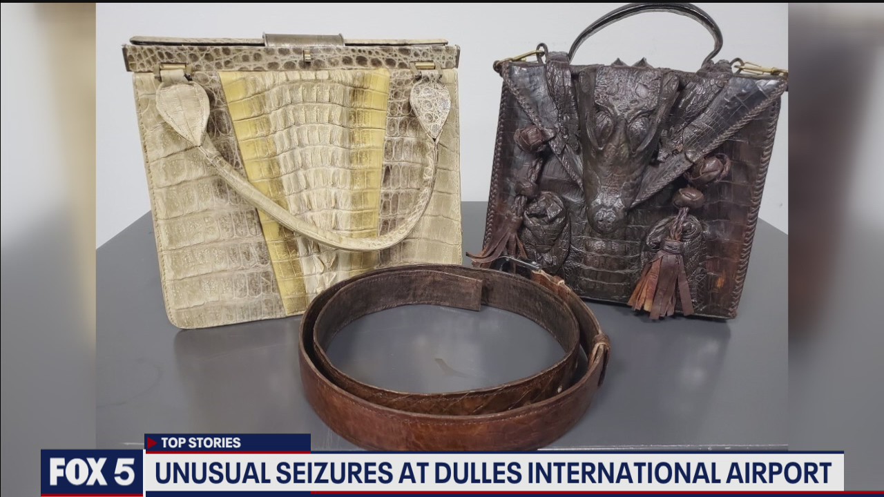 Unusual items recovered at Dulles International Airport