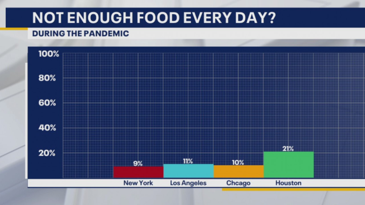 NPR-Harvard Poll: Houstonians face delayed care, financial hardships amid COVID-19
