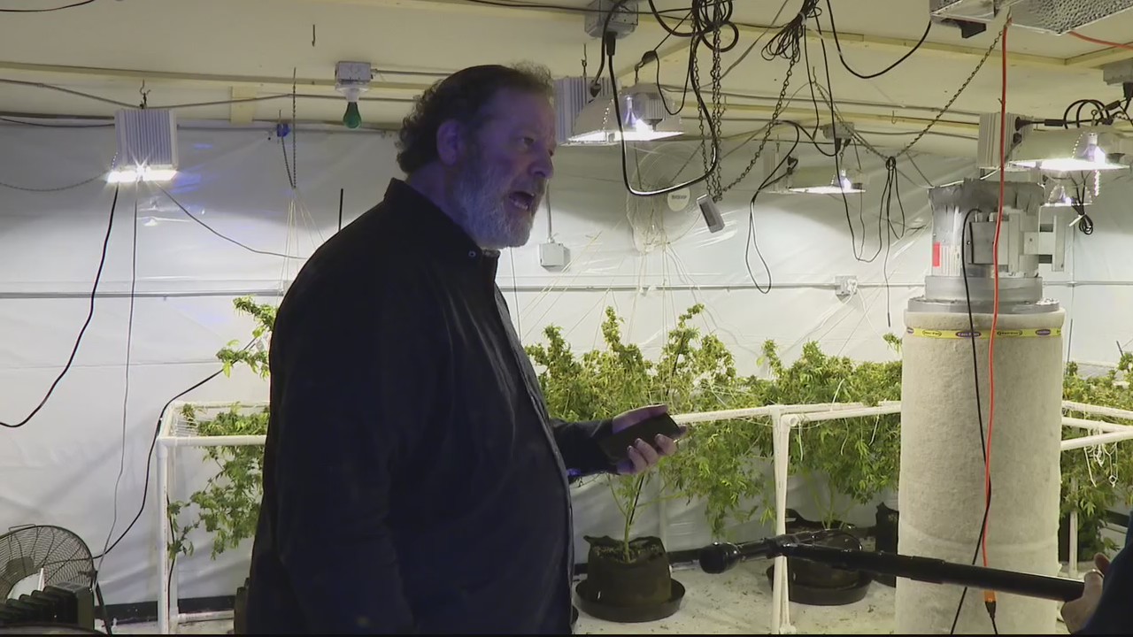 Former deed guy now into weed gets smoked out by Wolchek for grow operation
