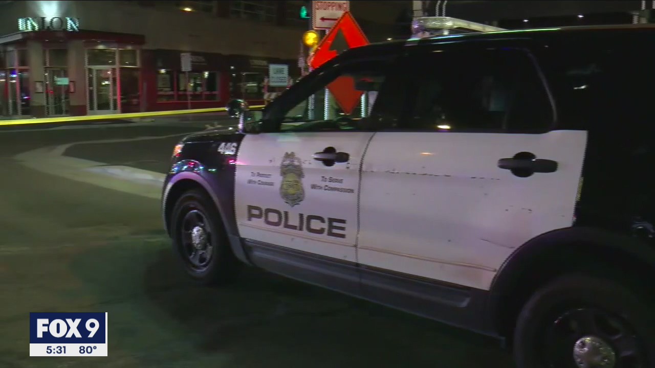 Minneapolis City Council holds a police department study session