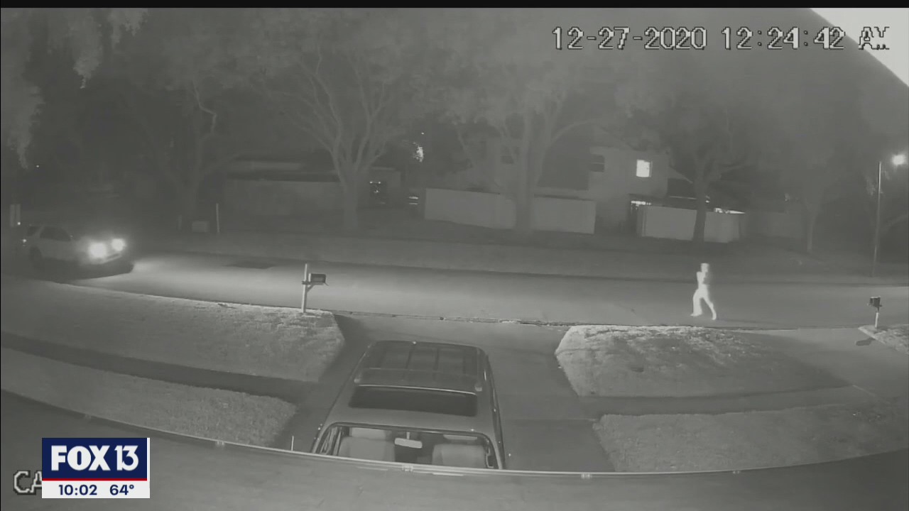 Surveillance cameras capture mailbox vandals
