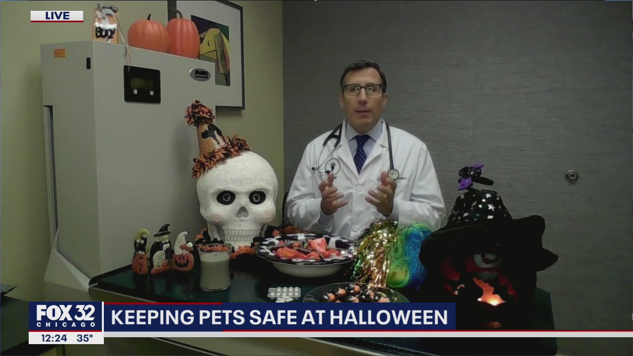 Tips for keeping your pets safe this Halloween