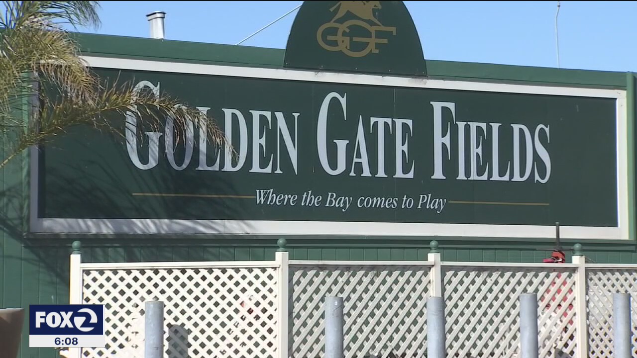 Animal rights activists call for an end to horse racing