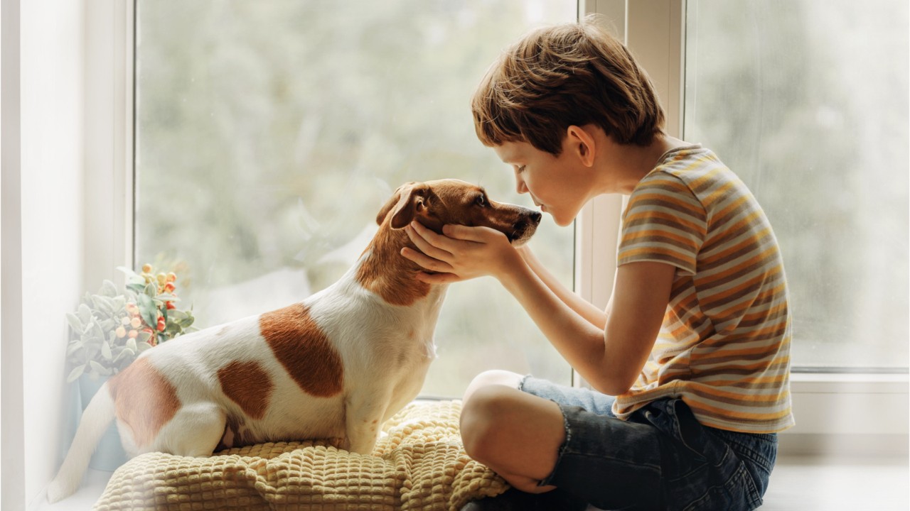 Study: Growing up with a dog can lower risk of developing schizophrenia as an adult