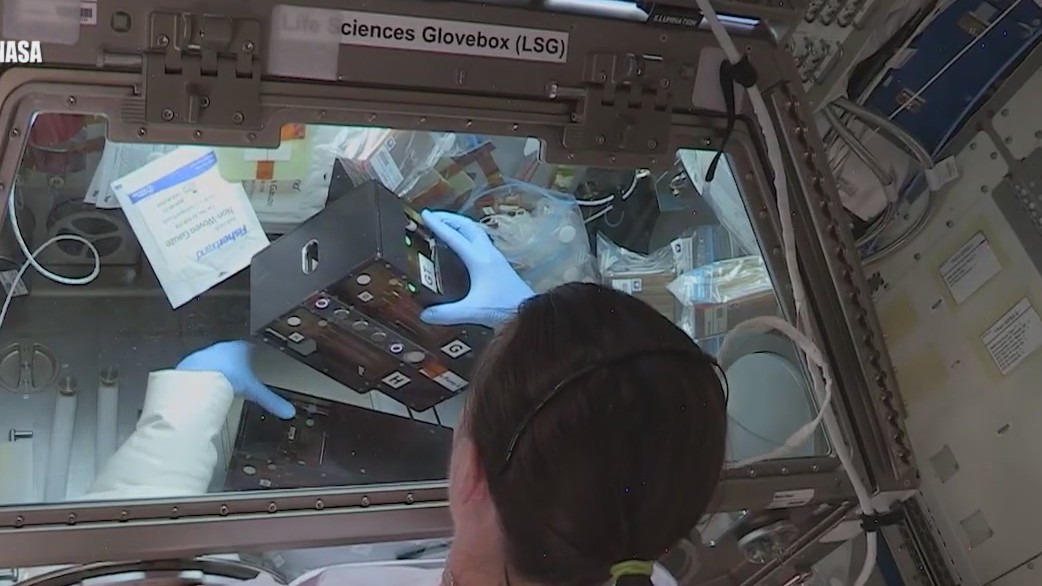 Astronauts at the International Space Station dive into research projects