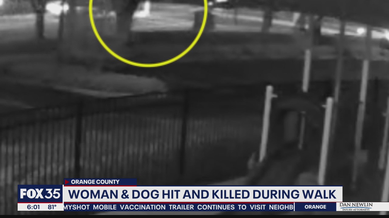 Woman, dog hit and killed during walk