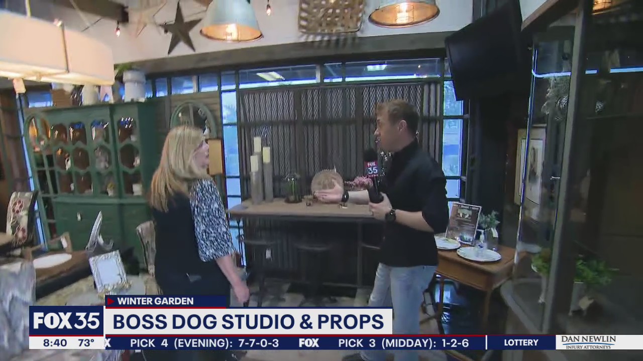 Boss Dog Studio and Props