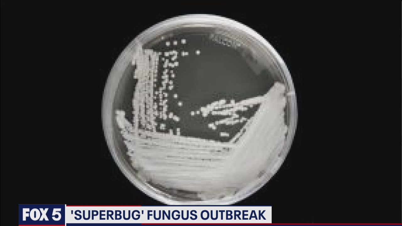 CDC: Evidence of untreatable 'superbug' found at DC nursing home