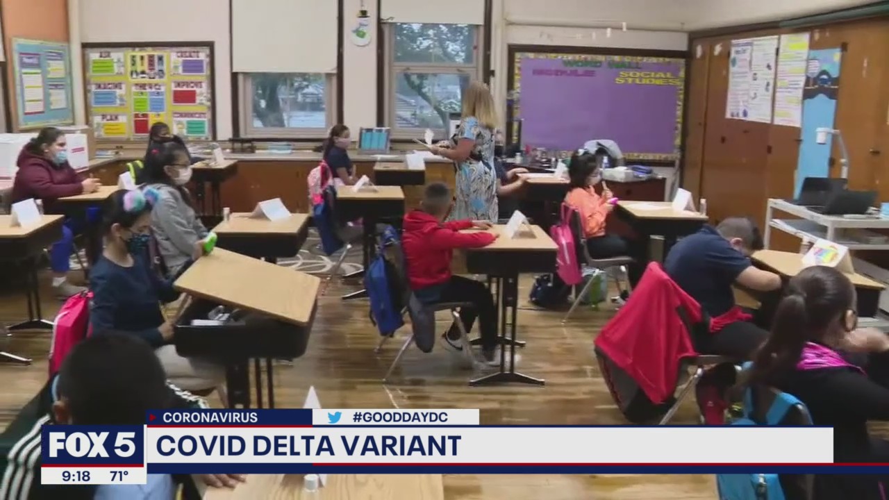 COVID-19 Delta variant explained by health professionals
