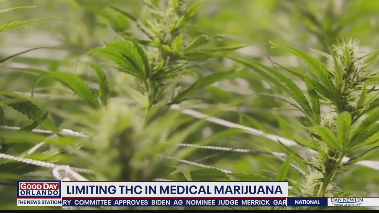 Limiting THC in medical marijuana