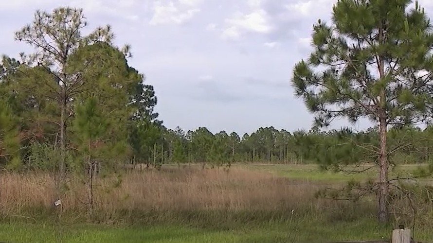 Armed trespasser shot by deputies near horse pasture, deputies said