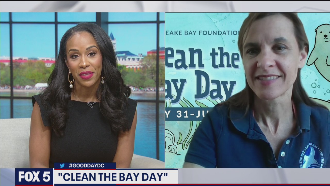 How to participate in Clean the Bay Day