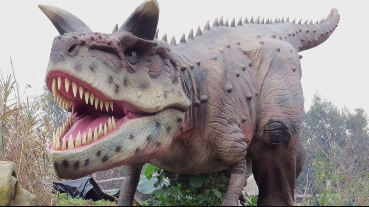 Life-size dinos coming to Canterbury Village