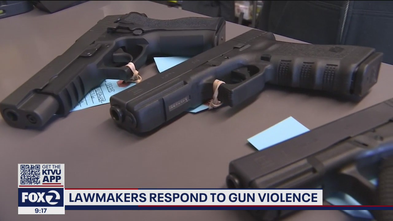 New legislation proposed amid calls for gun reform