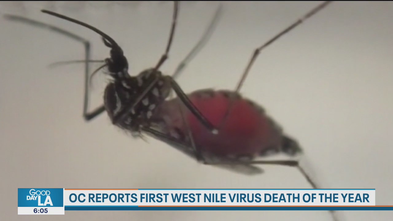 Man dies from West Nile virus in Orange County; residents warned to take precautions against mosquitos
